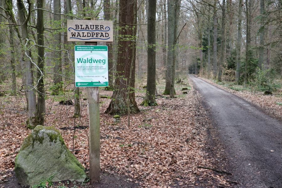 Wald, Wegweiser