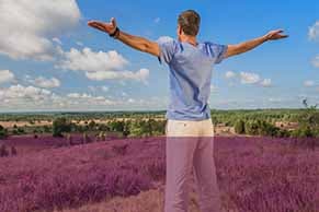 Die traumhafte Hansestadt Lüneburg mit der unzerstörten, historischen Altstadt wartet auf Sie