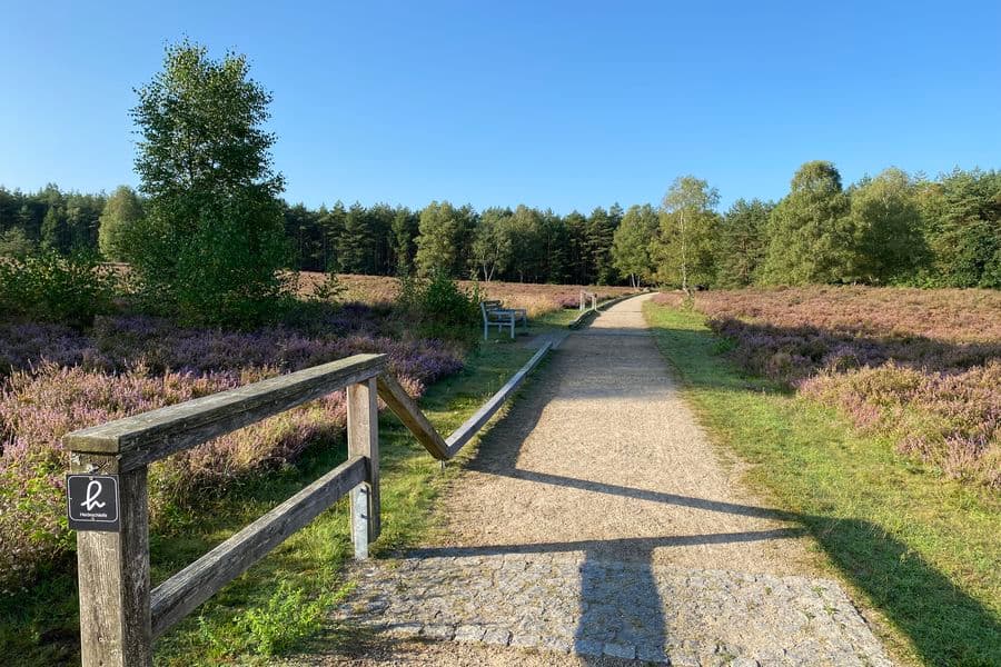 Weg Angelbecksteich Hermannsburg Südheide
