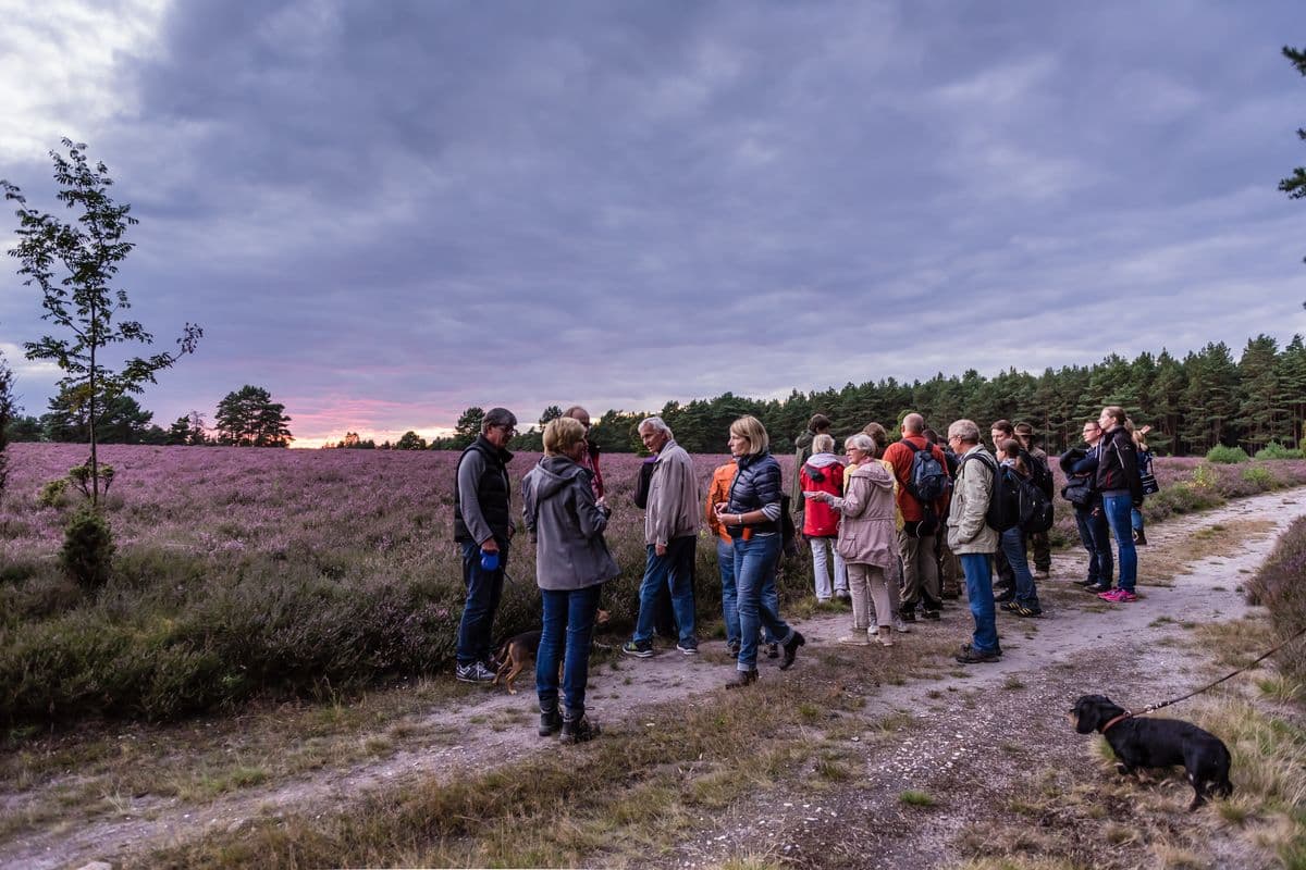 Vollmond-Wanderung auf dem Heidschnuckenweg im Naturpark Südheide