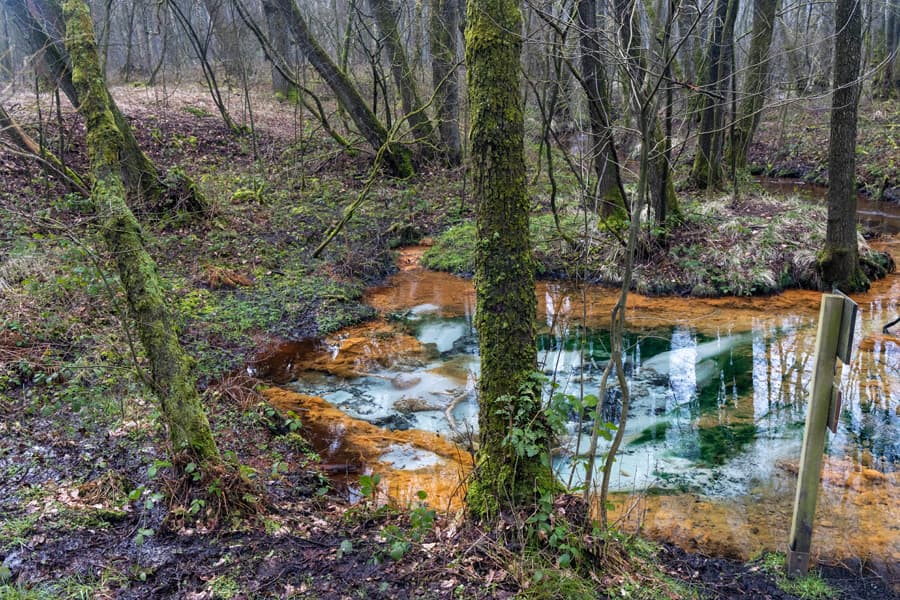 Quelle, wasser, wald