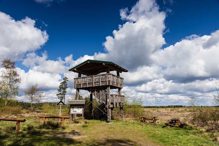 Aussichtsturm im Becklinger Moor, der das Moorgebiet überblickt. Auf dem Turm gibt es ein festinstalliertes Fernglas