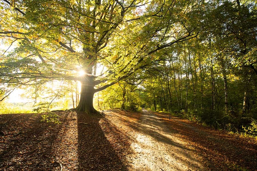 Teil des Radweges "Unterwegs zu den Gauß´schen Vermessungspunkten"