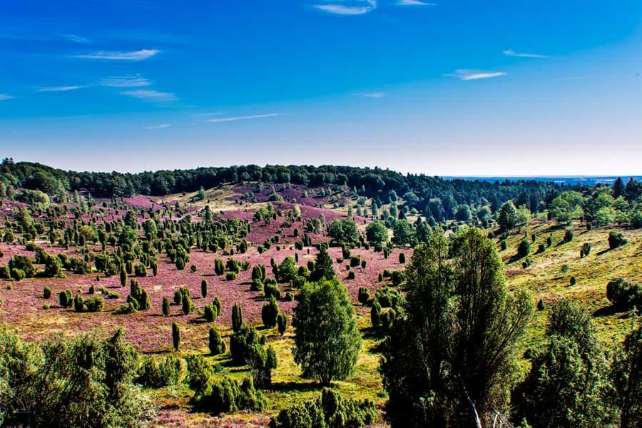 Überblick Totengrund Lüneburger Heide Fotomotiv