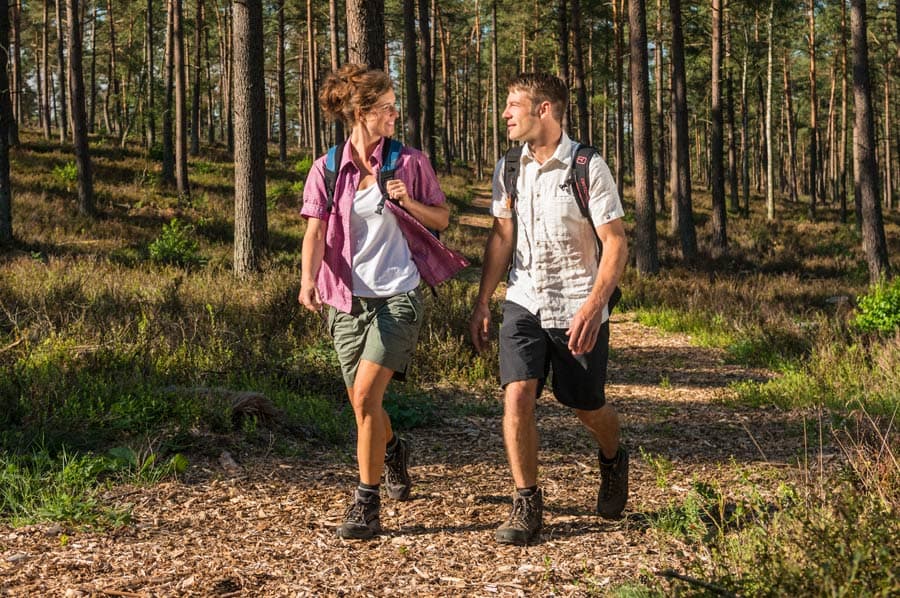 Wald, weiche Wege, Natur