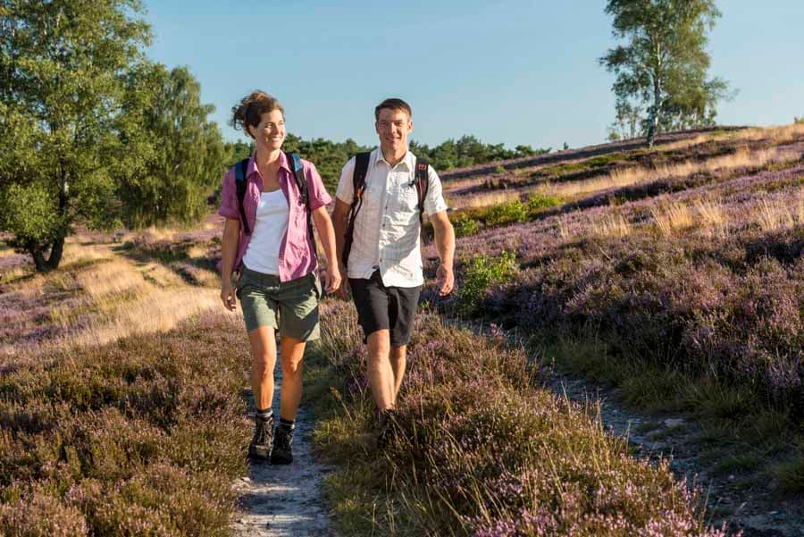 Wandern, Heide, Menschen