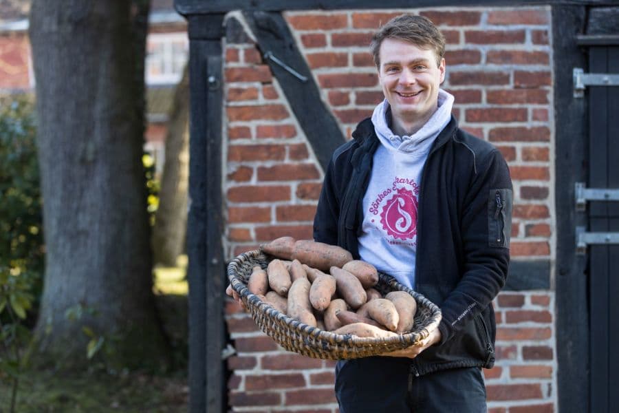 Sönke Strampe Süßkartoffeln