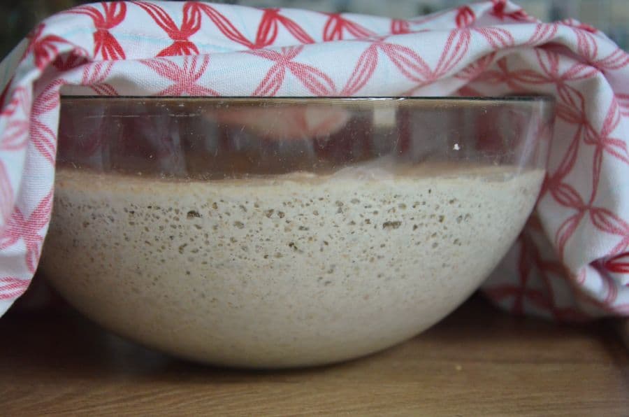 Buchweizenteig Rezept für Buchweizenbrot