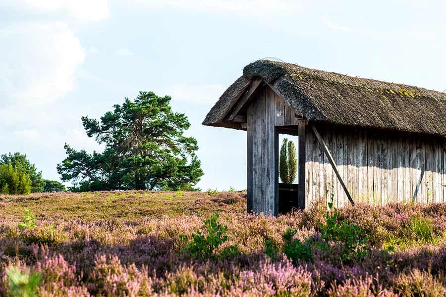 Was kann man machen in der Lüneburger heide