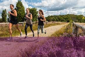 Gesund und fit in der Lüneburger Heide