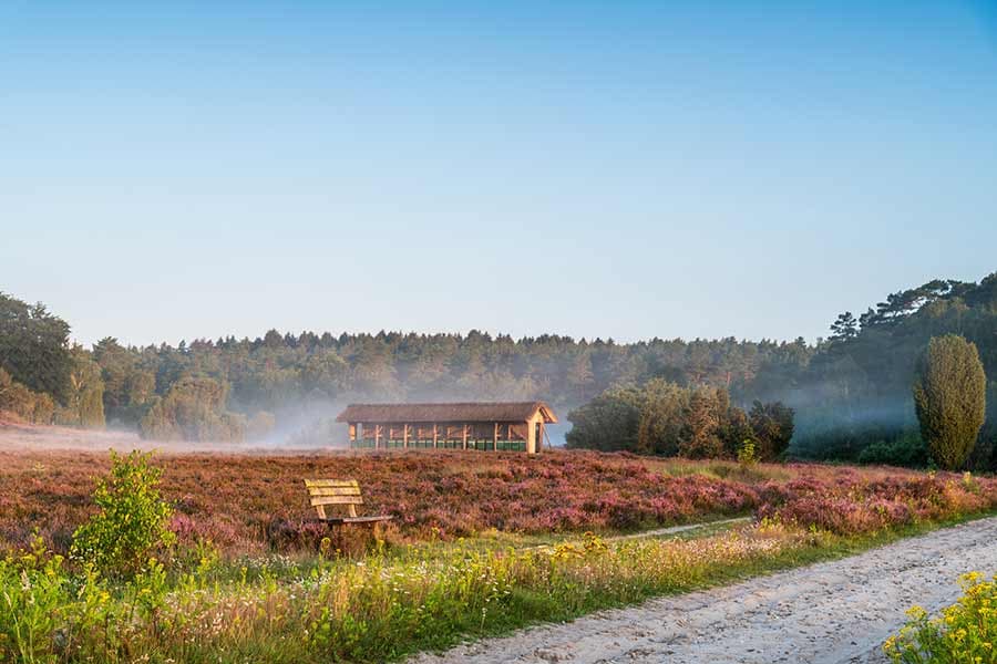 Autofreies naturschutzgebiet lüneburger heide ist ideal zum wandern