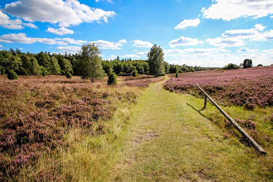 die Weite der Heide ist ideal zum Wandern