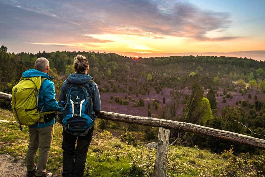 Wanderweg zum Totengrund in der Lüneburger Heide