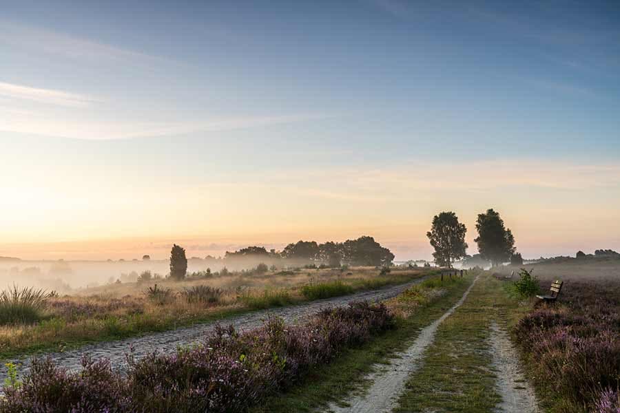 Wanderung zum Sonnenaufgang in der Heide
