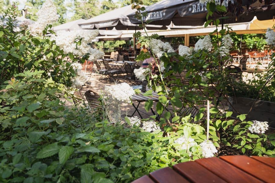 Sitzbereich des Biergartens Schröders Garten in Lüneburg