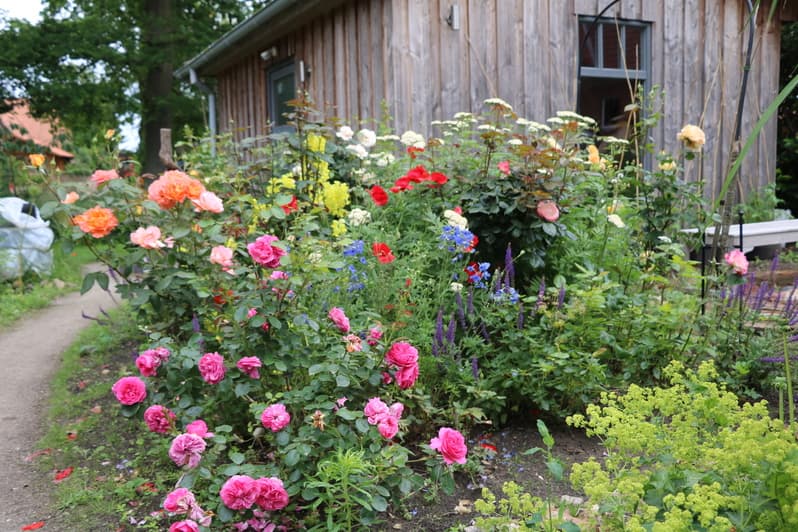 Garten in dem Privatzimmer Mara in Wendisch Evern