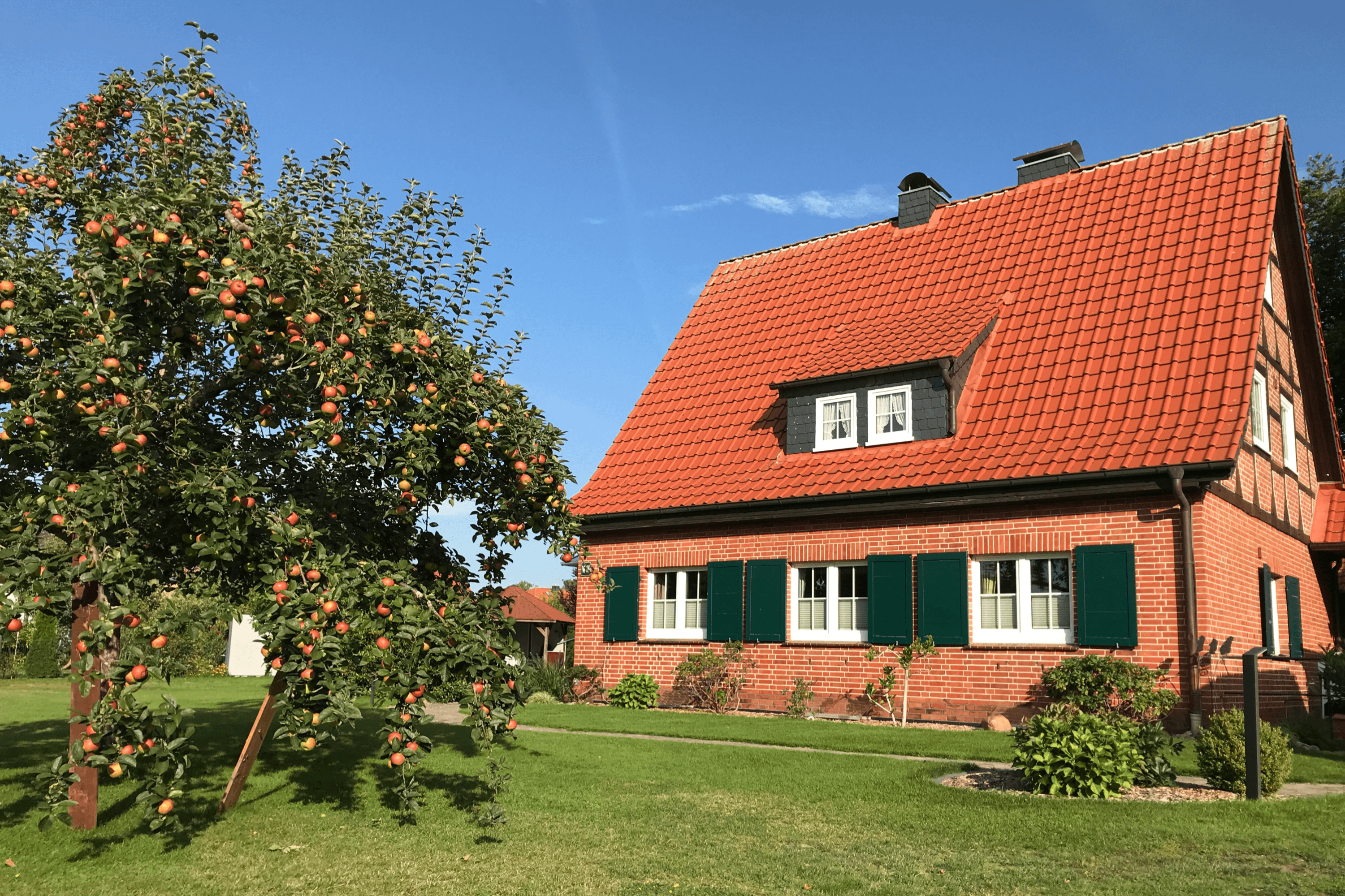 Frontansicht vom Ferienhaus in Eschede