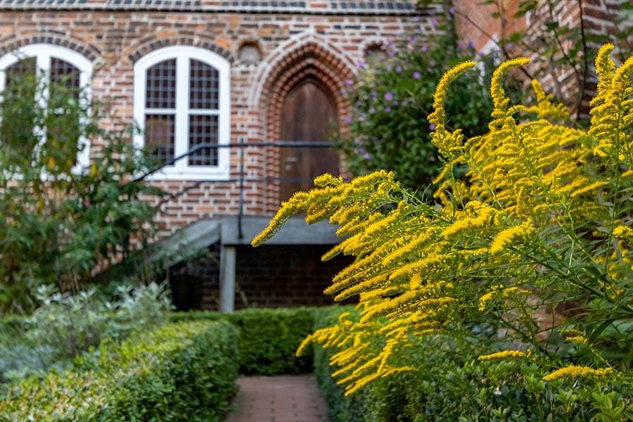 Im Kräutergarten des Klosters Lüne duftet es immer gut