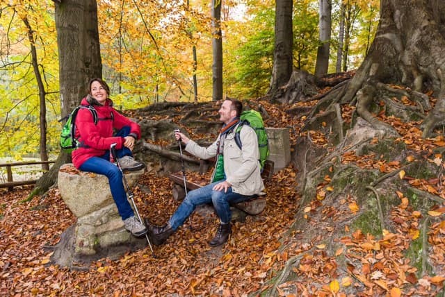 Waldgebiet Eckernworth in Walsrode