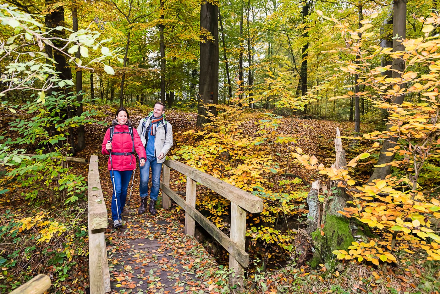 Brücke in dem Waldgebiet Eckernworth in Walsrode