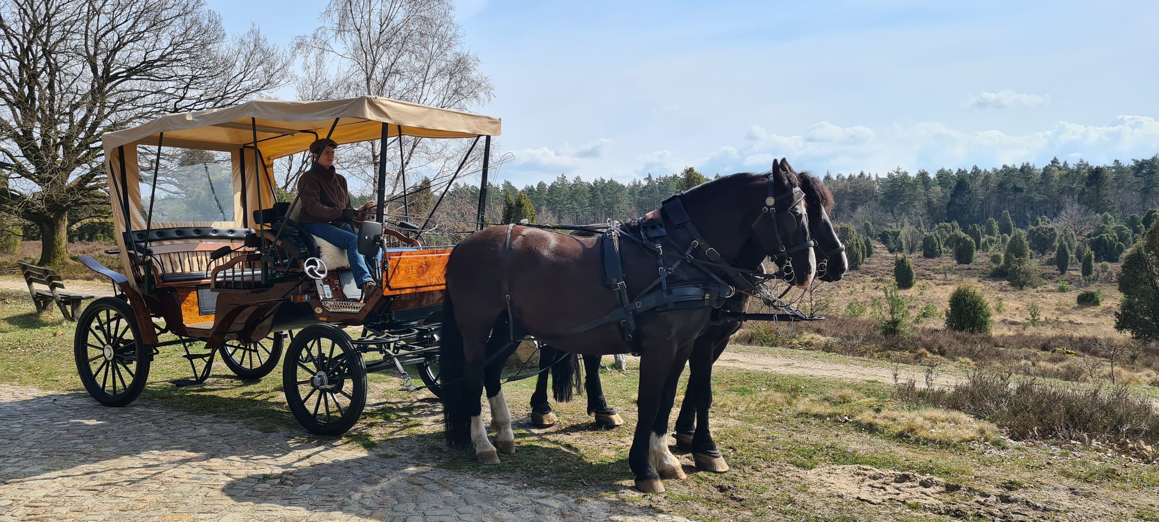 Vis a Vis in der Heide