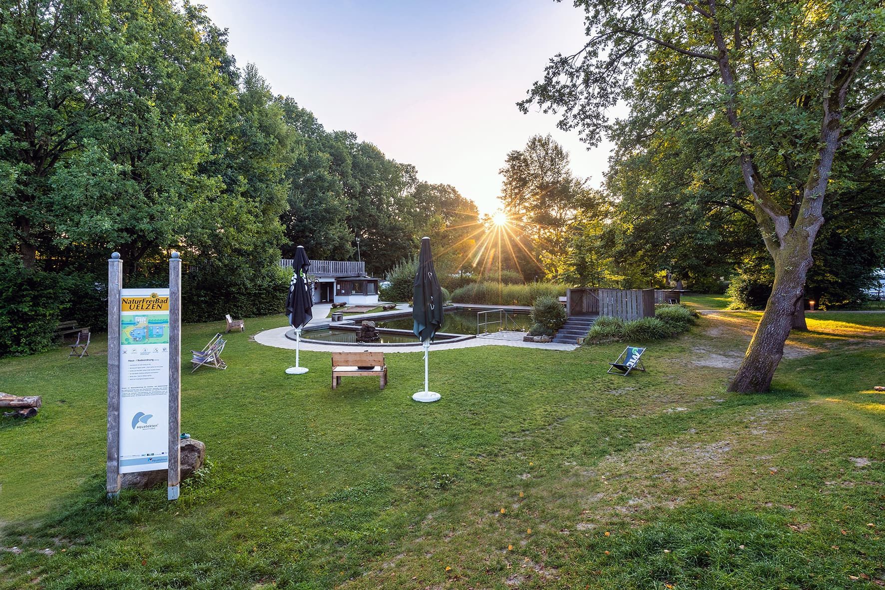 Wiese im NaturFreiBad im Uhlenköper-Camp