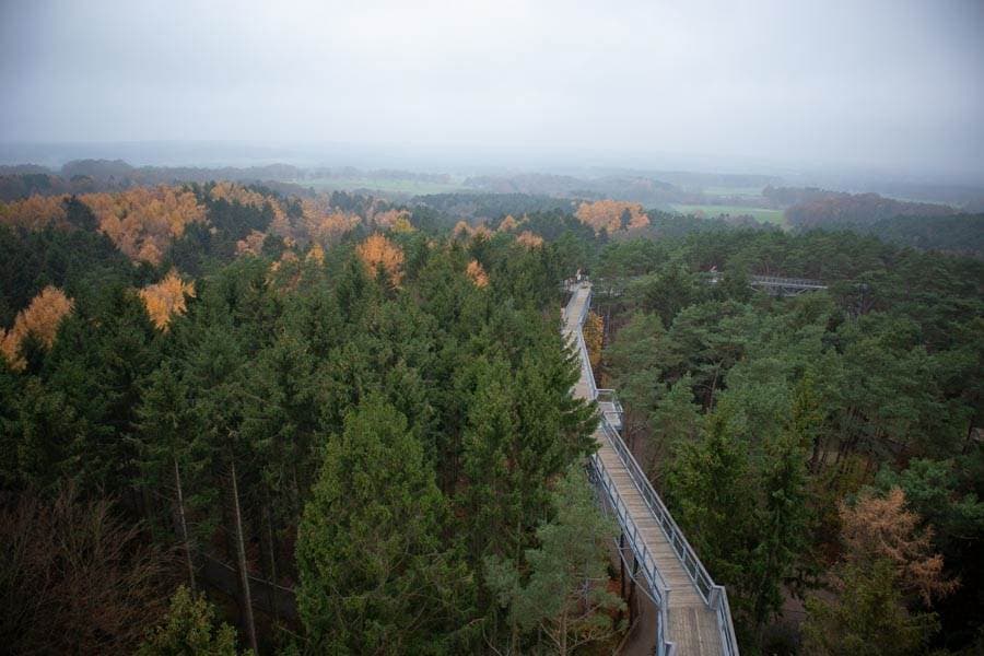 Bäume, Baumwipfelpfad, HerbstTrees, treetop walk, fallTræer, trætopvandring, efterårBomen, boomtopwandeling, herfst