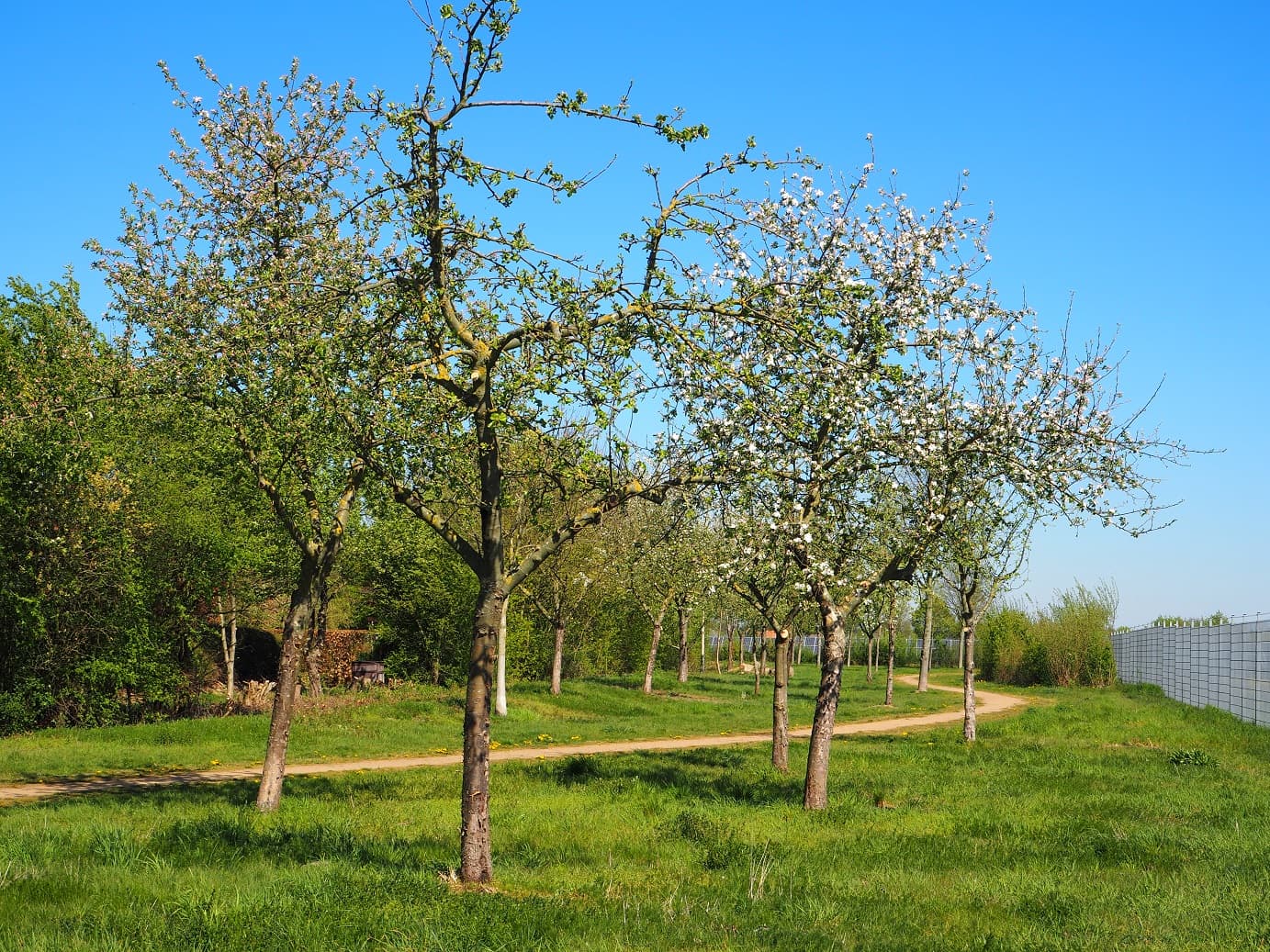 Solarpark Honerdingen auf der Obstradler-Route bei Walsrode