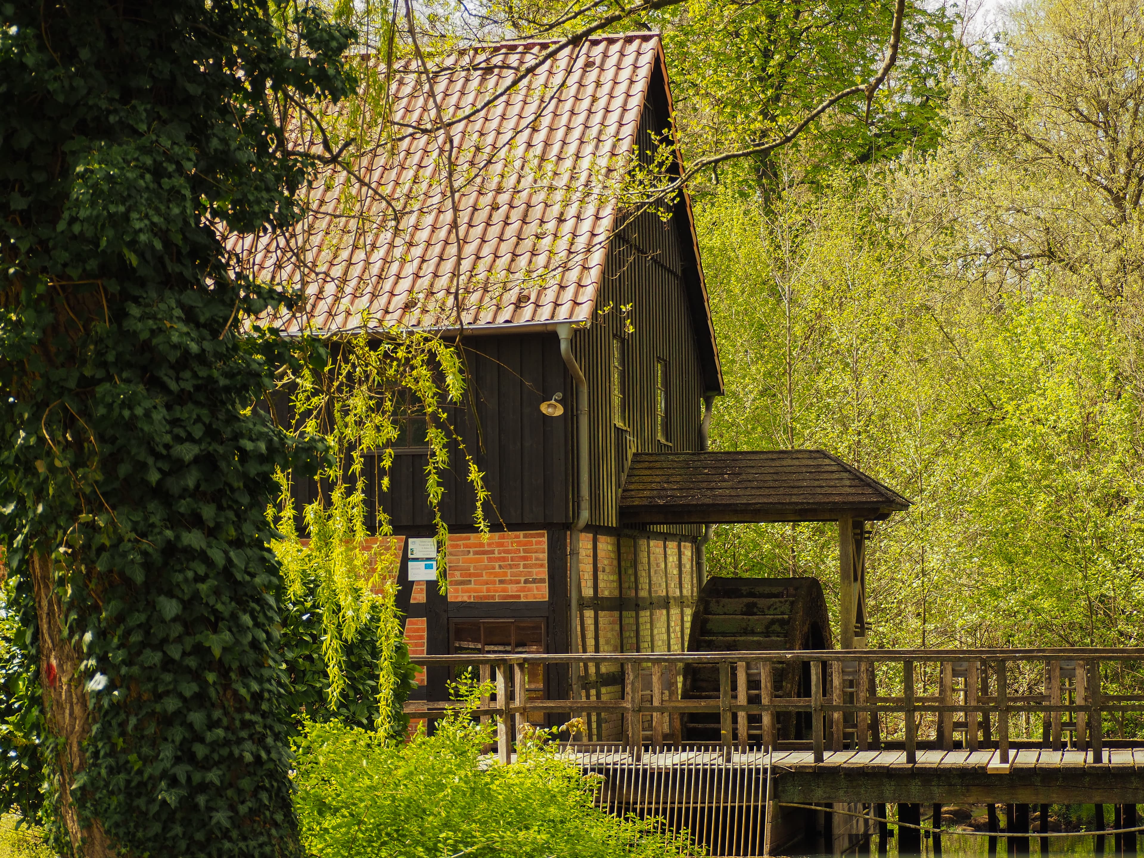 Mühle in Cordingen an der kleinen Vogelpark-Region Runde