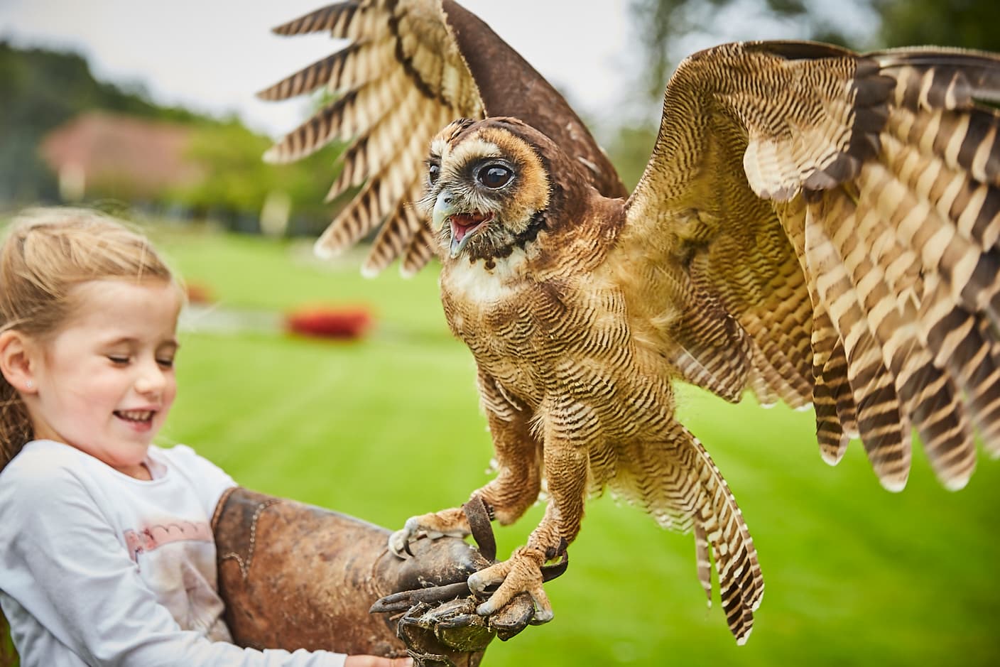 Weltvogelpark an der kleinen Vogelpark-Region Runde
