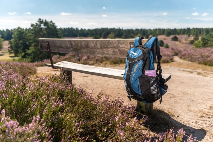 Pause auf einer Bank auf der Heideschleife Büsenbachtal in der HeideTake a break on a bench on the Büsenbachtal heathland loop in the heathPause på en bænk på Büsenbachtal hedesløjfe i hedenPauze op een bankje op de Büsenbachtal heideloop in de heide