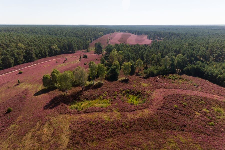 Luftaufnahme Misselhorner Heide Hermannsburg Rundweg Wanderung HeideschleifeAerial view of Misselhorner Heide Hermannsburg circular trail Hike HeideschleifeLuftfoto af Misselhorner Heide Hermannsburg rundstrækning Hike HeideschleifeLuchtfoto van de Misselhorner Heide Hermannsburg Wandelroute Heideschleife