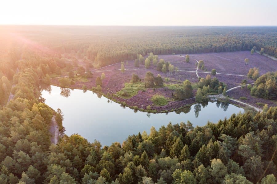 Angelbecksteich Luftaufnahme Fishing pond aerial viewFiskedam set fra luftenLuchtfoto visvijver