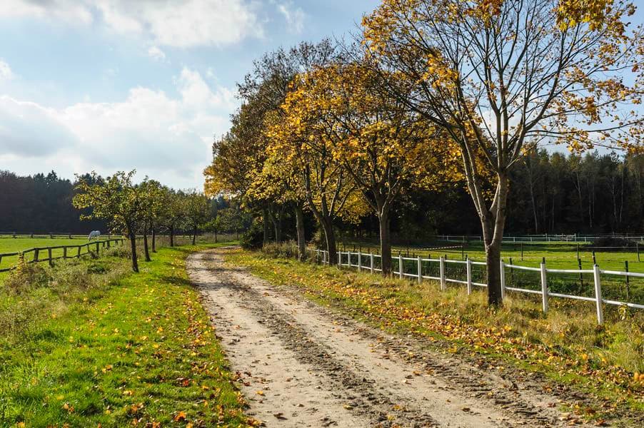 Radweg Herbst Weesen Südheide