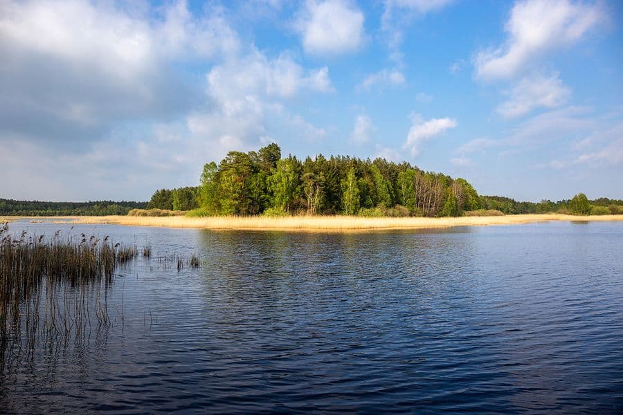 Wildecker Teiche Südheide Frühling Wandern