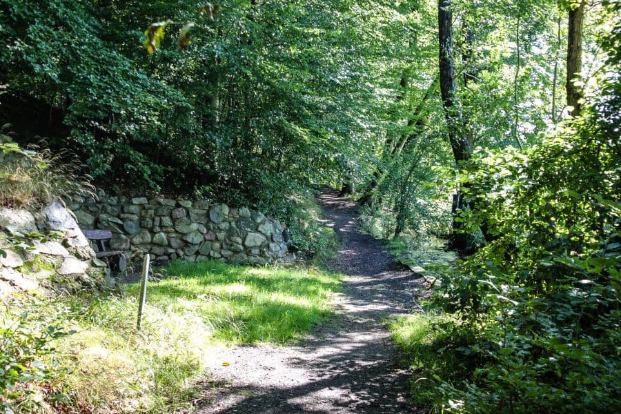 Weg durch das Waldgebiet Eckernworth in Walsrode
